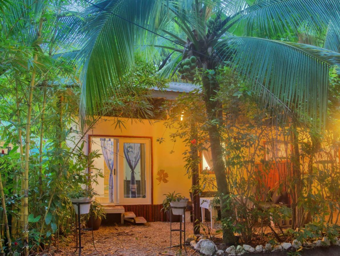 Jungle'S Edge Hotel Nosara Exterior photo