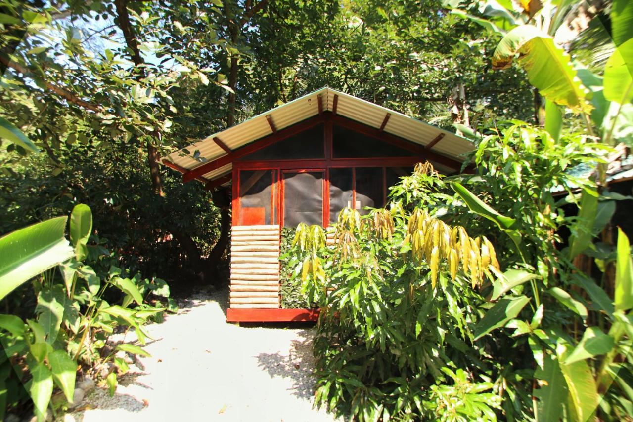 Jungle'S Edge Hotel Nosara Exterior photo