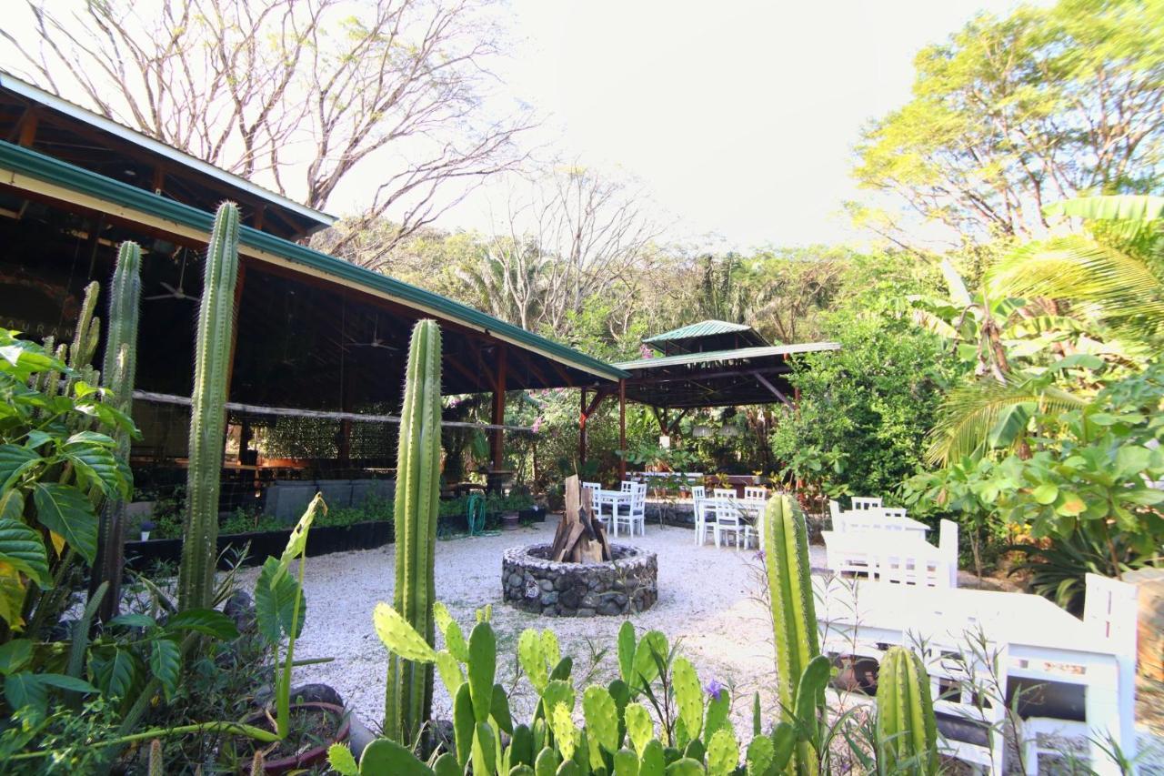 Jungle'S Edge Hotel Nosara Exterior photo