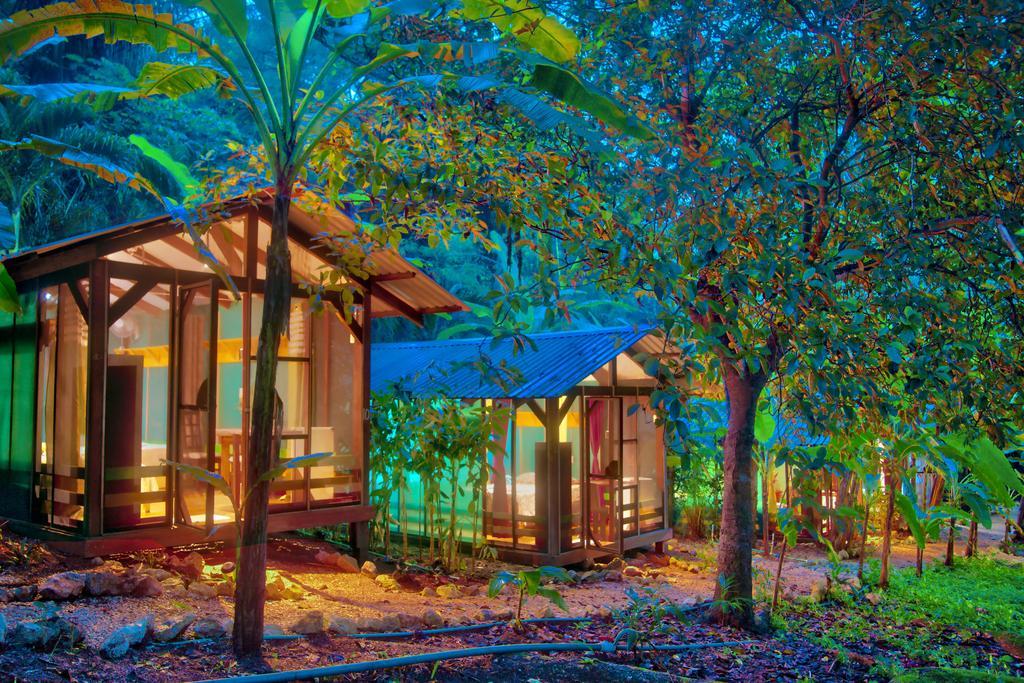 Jungle'S Edge Hotel Nosara Exterior photo