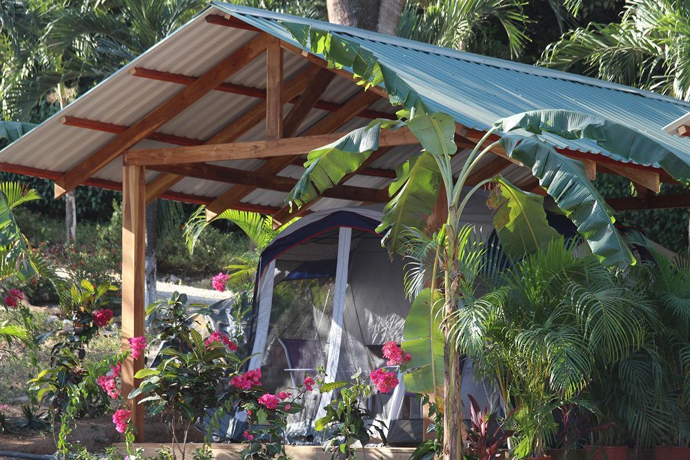 Jungle'S Edge Hotel Nosara Exterior photo